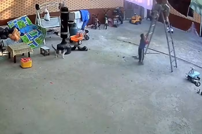 Cậu bé 3 tuổi phản xạ thần tốc cứu bà ngoại mắc kẹt khi phơi đồ