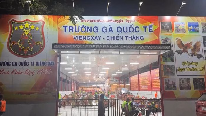 Bóc gỡ đường dây đánh bạc xuyên quốc gia hơn 1.200 tỷ đồng. Ảnh: Bộ Công an.