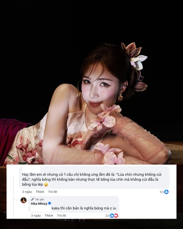 Hòa Minzy từng phản hồi khán giả rằng câu hát được hiểu theo nghĩa bóng