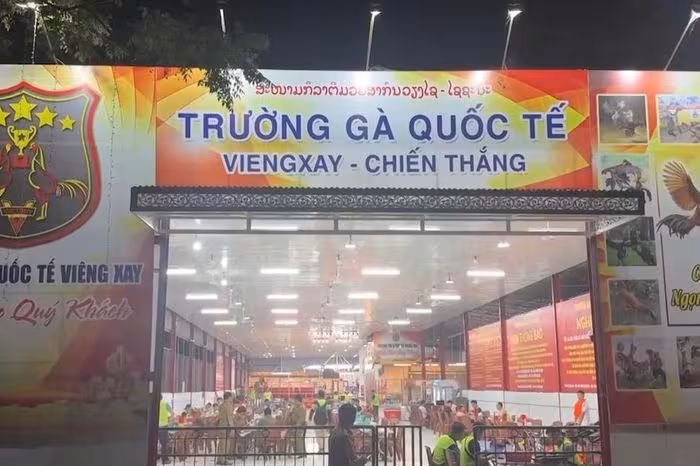 Triệt phá 'trường gà quốc tế Viêng Xay', khởi tố 196 bị can