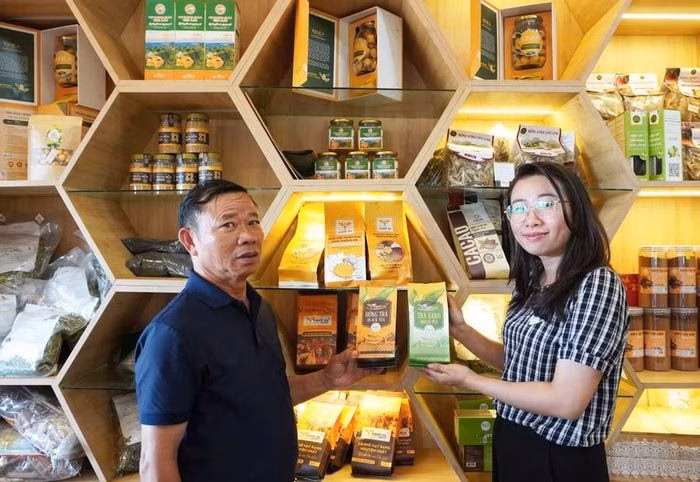 Sự tỉ mỉ trong từng công đoạn sao chè thủ công giúp giữ trọn tinh túy của vùng đất Pleiku.