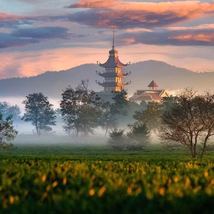 Vùng chè Biển Hồ sở hữu địa thế tuyệt đẹp, tạo nên hương vị đặc trưng không nơi nào có được.