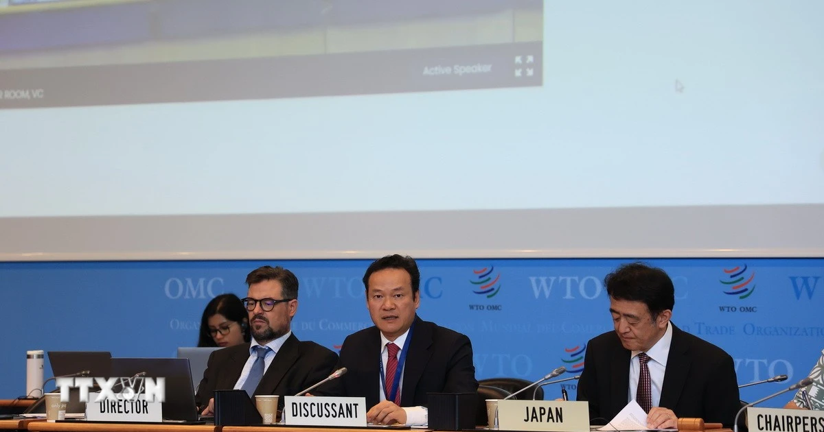 Việt Nam lần đầu giữ vai trò Người thảo luận tại phiên rà soát chính sách WTO