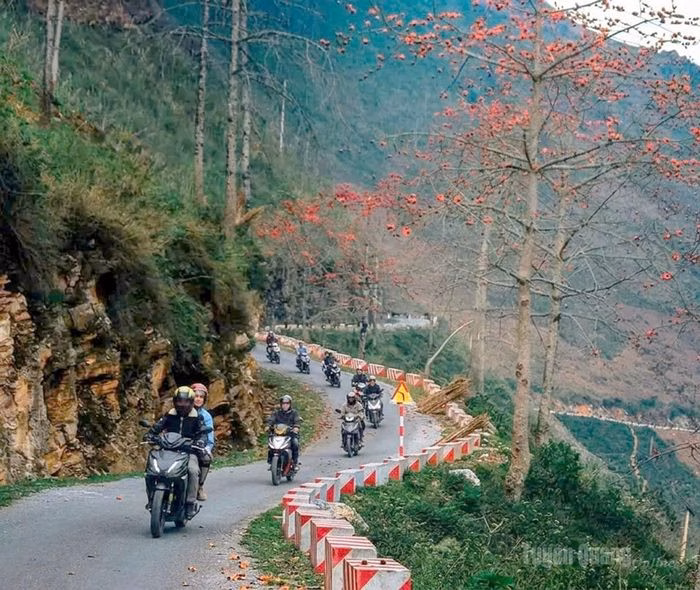 Tháng Ba, sắc đỏ hoa gạo tô điểm những cung đường về Du Già.