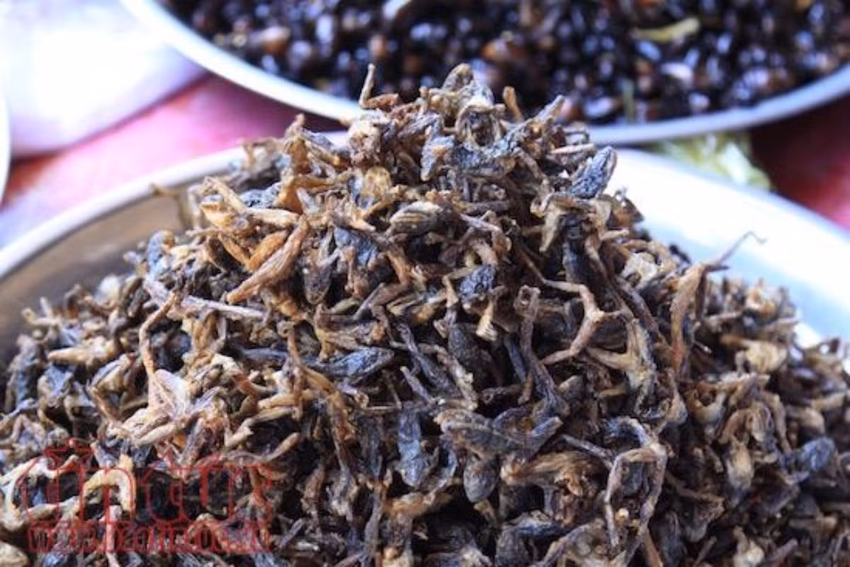 Không chỉ côn trùng, các món từ nhái, ốc núi cũng là đặc sản thu hút khách ghé thăm. (Ảnh: TTXVN)