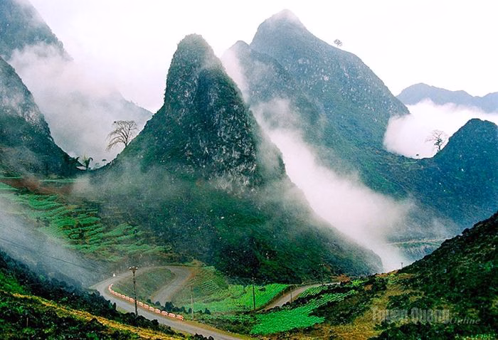 Vẻ đẹp huyền ảo của cung đường Du Già trong sương sớm.